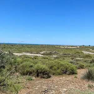 L'oiseau Des Sables , Saintes-Maries-de-La-Mer Frankreich